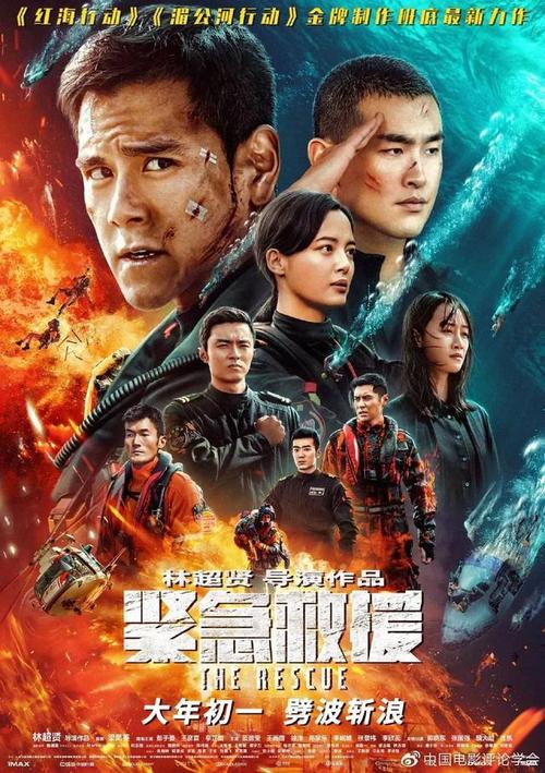 和歌山大学diplom